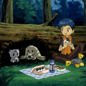 Cute picnic