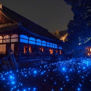 Kyoto Shorenin Shrine